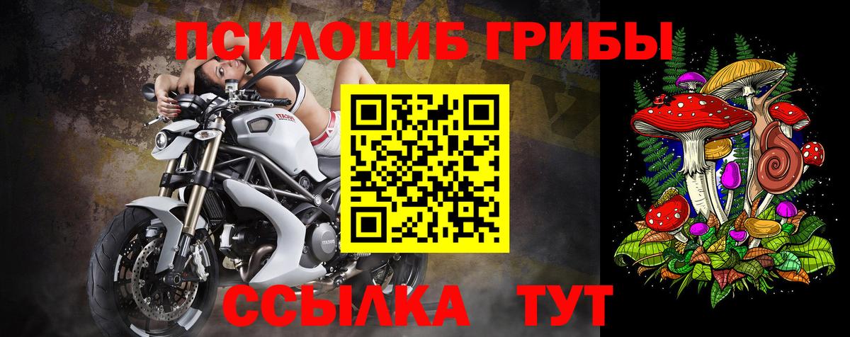 Кемерово  Галлюциногенные грибы Cubensis  Вход с VPN  Псилоцибиновые грибы Psilocybine cubensis 