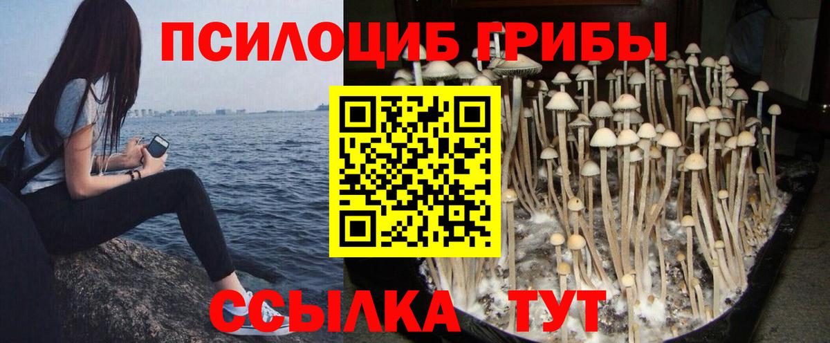 Галлюциногенные грибы Cubensis Кемерово